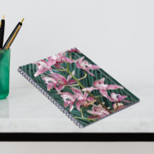 ピンクシンビジウムランのスプレーフローラ