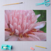 ピンクジンジャーティッシュペーパー 薄葉紙 (クラフト)