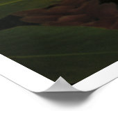 ピンクジンジャーノマヤントロピカルポスタープリント ポスター (角)