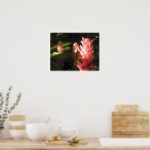 ピンクジンジャーノマヤントロピカルポスタープリント ポスター (キッチン)