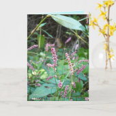 ピンクスの山 カード (黄色い花)