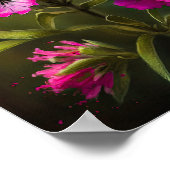 ピンクスイートウィリアム花アートプリントポスター ポスター (角)