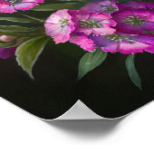 ピンクスイートウィリアム花アートプリントポスター ポスター (角)