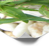 ピンクスイートウィリアム/ディアンツスフラワーポスタープリント ポスター (角)