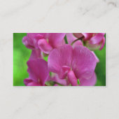 ピンクスイートピーの花 名刺 (裏面)