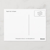 ピンクスカギットバレーチューリップ ポストカード (裏面)