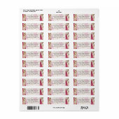 ピンクスタイリッシュクガーリーホワイト金ゴールドゼブラ ラベル (フルシート)