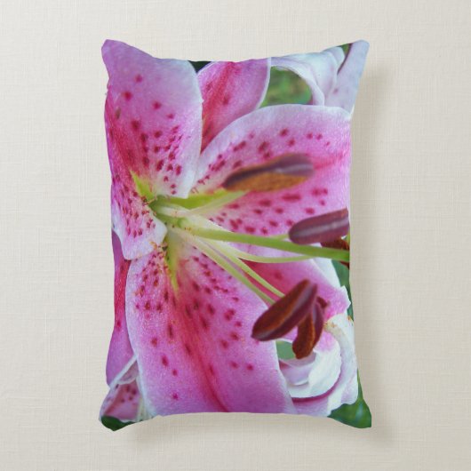 ピンクスターガーザーリリーフローラ アクセントクッション (正面(垂直))