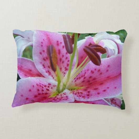ピンクスターガーザーリリーフローラ アクセントクッション (裏面)