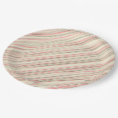 ピンクストライプ色 ペーパープレート (アングル)