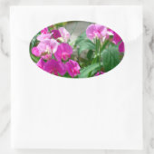 ピンクスナップドラゴンシール 楕円形シール (バッグ)