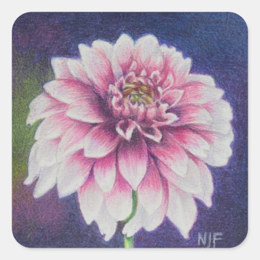 ピンクス スクエアシール (正面)