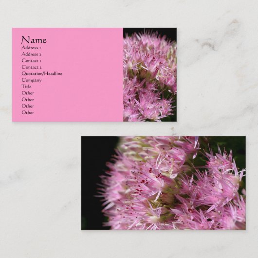 ピンクセダムフラワー写真ビジネスカード 名刺 (正面/裏面)