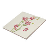 ピンクセンタウリウムバイマリーブヴォーウォルコット タイル (側面)