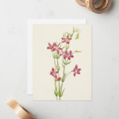 ピンクセンタウリウムバイマリーブヴォーウォルコット ノートカード (正面/裏面インサイチュ)