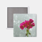 ピンクゼラニウム写真磁石 マグネット (正面/裏面)