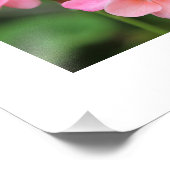 ピンクゼラニウム花びら フォトプリント            (角)