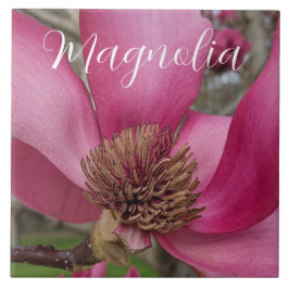 ピンクソーサーマグノリアブロッサムフローラ タイル