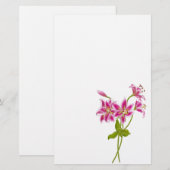 ピンクタイガーリリー文房具 便箋 (正面/裏面)