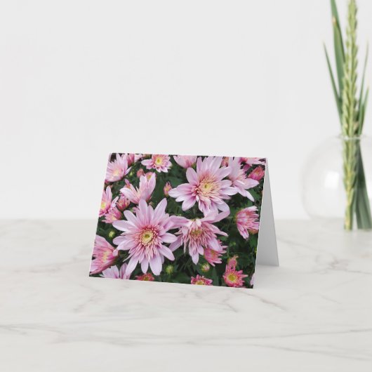 ピンクタム カード (正面)