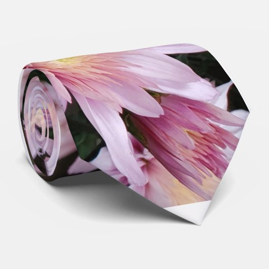 ピンクタム ネクタイ (ロール)