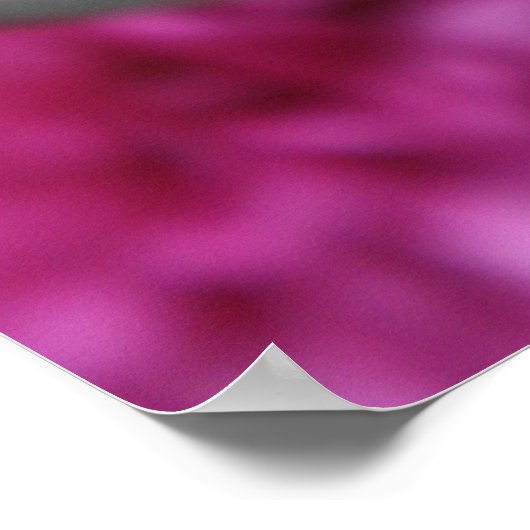 ピンクタム ポスター (角)