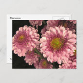 ピンクタム ポストカード (正面/裏面)