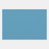 ピンクタム ラッピングペーパーシート (正面2)