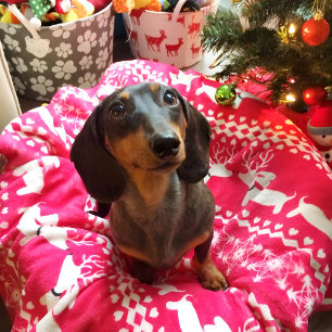 ピンクダックスシャンドフェアアイルクリスマスブランケット フリースブランケット