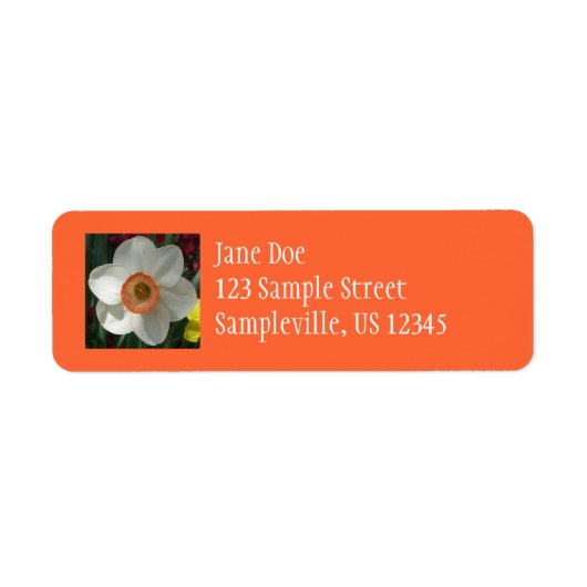 ピンクダフォディル春花 ラベル (正面)