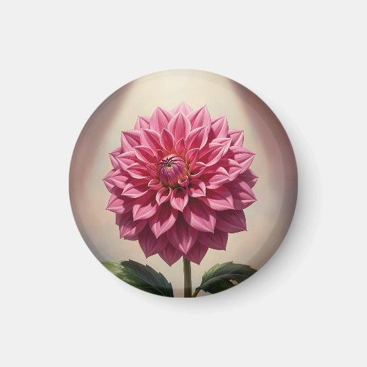 ピンクダリアの花の植物画 マグネット (正面)