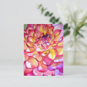 ピンクダリアの花の水彩細密画 ポストカード (スタンド正面)