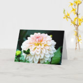 ピンクダリアグリーティングカード カード (黄色い花)