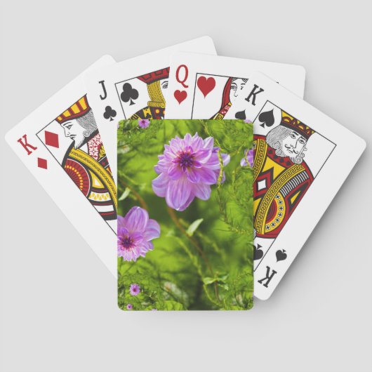 ピンクダリアトランプ トランプ (裏面)