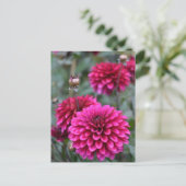 ピンクダリアフローラ写真はがき ポストカード (スタンド正面)