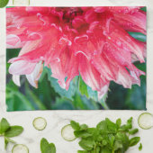 ピンクダリア写真撮影、カナダ美しい キッチンタオル (折り畳み)