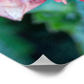 ピンクダリア写真撮影、カナダ美しい ポスター (角)