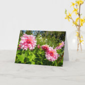 ピンクダリア（オットーのスリル） カード (黄色い花)