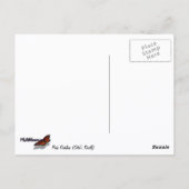 ピンクダリア（オットーのスリル） ポストカード (裏面)