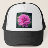 ピンクダリア キャップ (正面)
