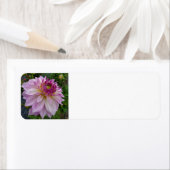 ピンクダリア ラベル (インサイチュ)