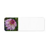 ピンクダリア ラベル (正面)