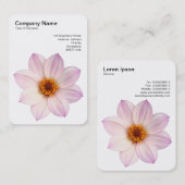 ピンクダリア 名刺 (正面/裏面)