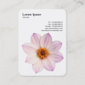 ピンクダリア 名刺 (裏面)
