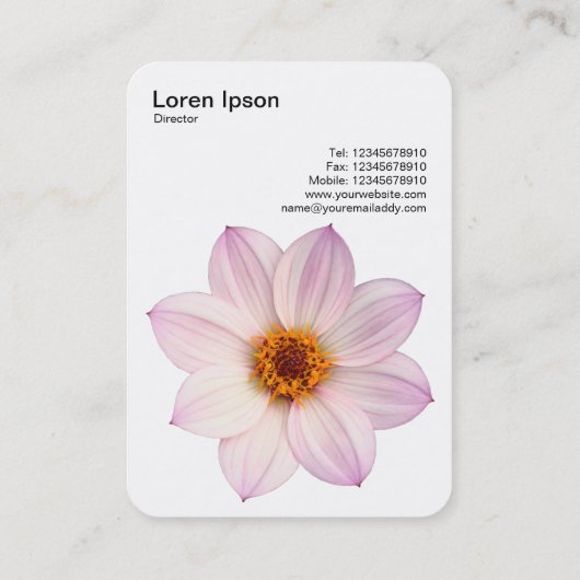 ピンクダリア 名刺 (裏面)