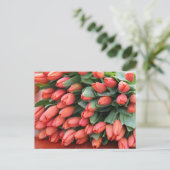 ピンクチューブ ポストカード (スタンド正面)