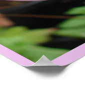 ピンクチューリップチューリップフローラフラワーガーデンポスター ポスター (角)