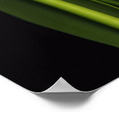 ピンクチューリップトリオプリント ポスター (角)