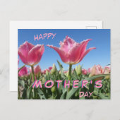 ピンクチューリップフィールドクローズアップ母の日はがき ポストカード (正面/裏面)