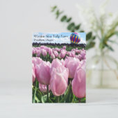 ピンクチューリップフィールド（熱気球付き）、オレゴンポスト ポストカード (スタンド正面)
